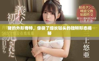 豬的外形奇特，像極了細(xì)長鉆頭的獨(dú)特形態(tài)揭秘
