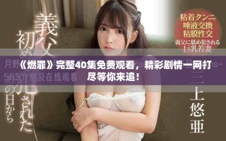 《燃罪》完整40集免費觀看，精彩劇情一網(wǎng)打盡等你來追！
