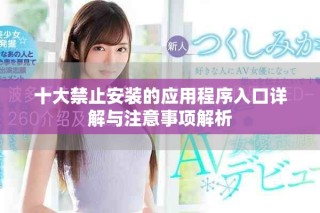 十大禁止安裝的應(yīng)用程序入口詳解與注意事項(xiàng)解析