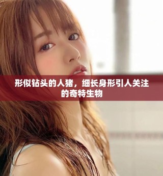 形似鉆頭的人豬，細長身形引人關注的奇特生物