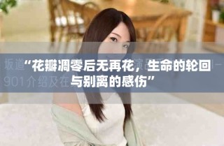 “花瓣凋零后無再花，生命的輪回與別離的感傷”