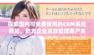 探索國(guó)內(nèi)可免費(fèi)使用的CRM系統(tǒng)網(wǎng)站，助力企業(yè)高效管理客戶關(guān)系