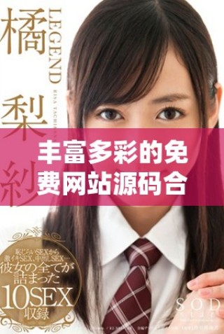 豐富多彩的免費(fèi)網(wǎng)站源碼合集，助你輕松搭建個(gè)人網(wǎng)站