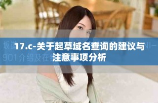 17.c-關(guān)于起草域名查詢的建議與注意事項(xiàng)分析