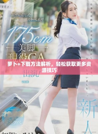 蘿卜+下載方法解析，輕松獲取更多資源技巧