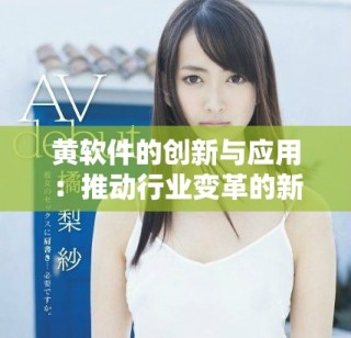 黃軟件的創(chuàng)新與應(yīng)用：推動(dòng)行業(yè)變革的新工具與解決方案