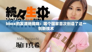 bbox的發(fā)源地揭曉：哪個(gè)國(guó)家首次創(chuàng)造了這一創(chuàng)新技術(shù)