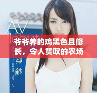 爺爺養(yǎng)的雞黑色且修長，令人贊嘆的農(nóng)場生活