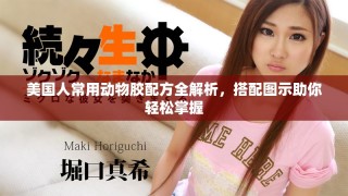 美國人常用動(dòng)物膠配方全解析，搭配圖示助你輕松掌握