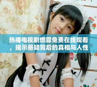 熱播電視劇燃罪免費在線觀看，揭示懸疑背后的真相與人性之光
