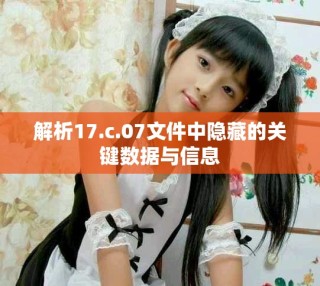 解析17.c.07文件中隱藏的關鍵數(shù)據(jù)與信息