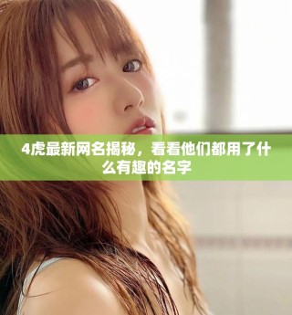4虎最新網(wǎng)名揭秘，看看他們都用了什么有趣的名字