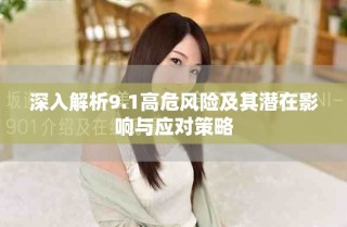 深入解析9.1高危風(fēng)險(xiǎn)及其潛在影響與應(yīng)對策略