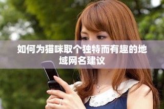 如何為貓咪取個(gè)獨(dú)特而有趣的地域網(wǎng)名建議