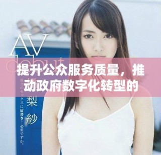 提升公眾服務質(zhì)量，推動政府數(shù)字化轉(zhuǎn)型的新舉措與實踐探討