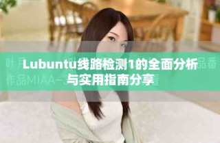 Lubuntu線(xiàn)路檢測(cè)1的全面分析與實(shí)用指南分享