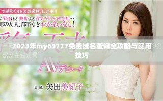 2023年my63777免費(fèi)域名查詢?nèi)ヂ耘c實(shí)用技巧