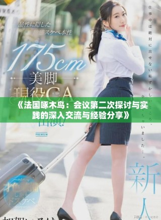 《法國(guó)啄木鳥(niǎo)：會(huì)議第二次探討與實(shí)踐的深入交流與經(jīng)驗(yàn)分享》