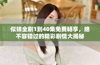 似錦全劇1到40集免費(fèi)暢享，絕不容錯(cuò)過(guò)的精彩劇情大揭秘