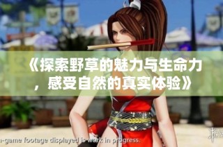 《探索野草的魅力與生命力，感受自然的真實(shí)體驗(yàn)》