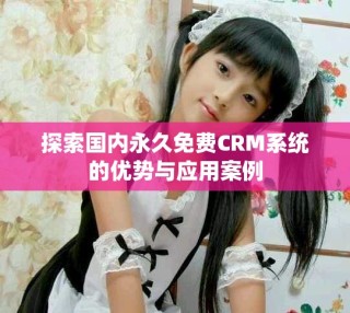 探索國內(nèi)永久免費(fèi)CRM系統(tǒng)的優(yōu)勢與應(yīng)用案例