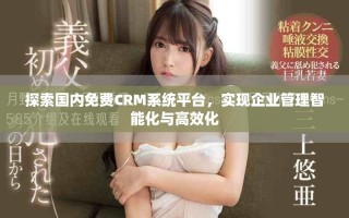 探索國(guó)內(nèi)免費(fèi)CRM系統(tǒng)平臺(tái)，實(shí)現(xiàn)企業(yè)管理智能化與高效化