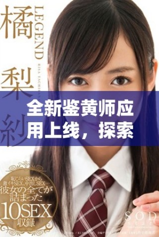 全新鑒黃師應(yīng)用上線，探索網(wǎng)絡(luò)內(nèi)容安全的新方式與新技術(shù)