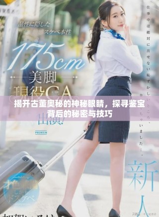 揭開(kāi)古董奧秘的神秘眼睛，探尋鑒寶背后的秘密與技巧