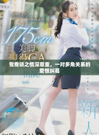 鴛鴦鎖之情深意重，一對多角關系的愛恨糾葛