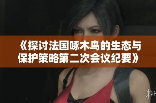 《探討法國啄木鳥的生態(tài)與保護策略第二次會議紀(jì)要》