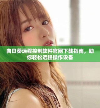 向日葵遠(yuǎn)程控制軟件官網(wǎng)下載指南，助你輕松遠(yuǎn)程操作設(shè)備