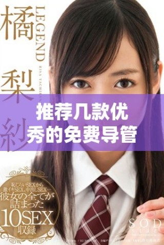 推薦幾款優(yōu)秀的免費(fèi)導(dǎo)管軟件助你輕松工作