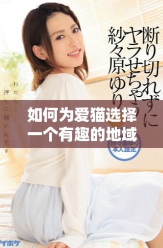 如何為愛貓選擇一個有趣的地域性網(wǎng)名技巧分享