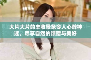 大片大片的豐收景象令人心醉神迷，盡享自然的饋贈(zèng)與美好