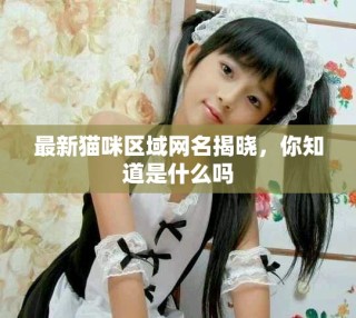 最新貓咪區(qū)域網(wǎng)名揭曉，你知道是什么嗎