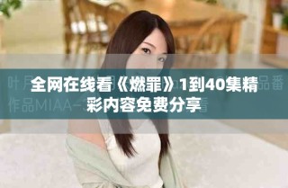 全網(wǎng)在線看《燃罪》1到40集精彩內容免費分享