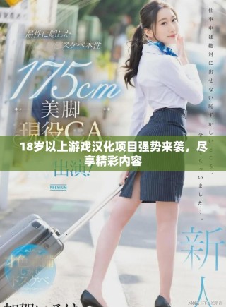 18歲以上游戲漢化項目強(qiáng)勢來襲，盡享精彩內(nèi)容
