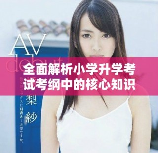 全面解析小學(xué)升學(xué)考試考綱中的核心知識(shí)點(diǎn)與備考技巧