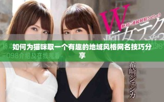如何為貓咪取一個(gè)有趣的地域風(fēng)格網(wǎng)名技巧分享