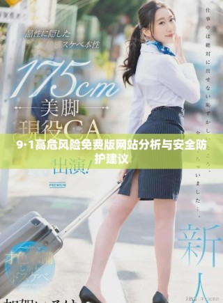 9·1高危風險免費版網(wǎng)站分析與安全防護建議