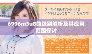 6996m3u8的級(jí)別解析及其應(yīng)用范圍探討