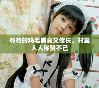 爺爺?shù)碾u毛黑亮又修長(zhǎng)，村里人人稱贊不已