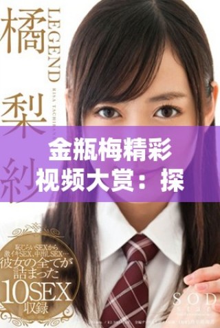 金瓶梅精彩視頻大賞：探索古典文學(xué)的視覺魅力與深刻內(nèi)涵