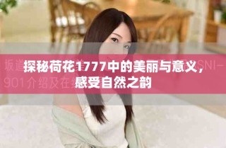 探秘荷花1777中的美麗與意義，感受自然之韻