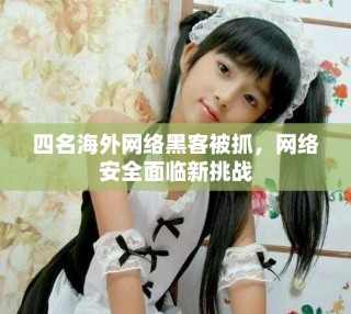 四名海外網絡黑客被抓，網絡安全面臨新挑戰(zhàn)