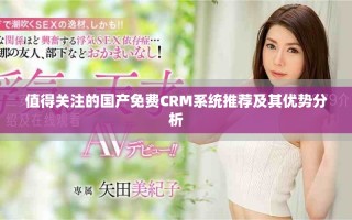 值得關(guān)注的國(guó)產(chǎn)免費(fèi)CRM系統(tǒng)推薦及其優(yōu)勢(shì)分析