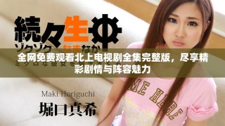 全網(wǎng)免費(fèi)觀看北上電視劇全集完整版，盡享精彩劇情與陣容魅力