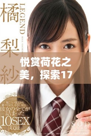 悅賞荷花之美，探索1777年影視文化的魅力與回顧