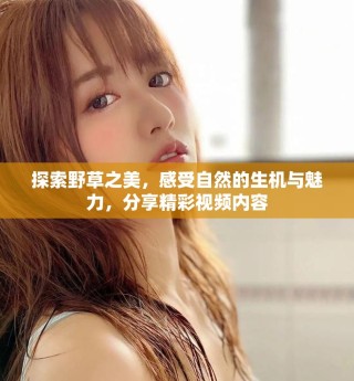 探索野草之美，感受自然的生機(jī)與魅力，分享精彩視頻內(nèi)容