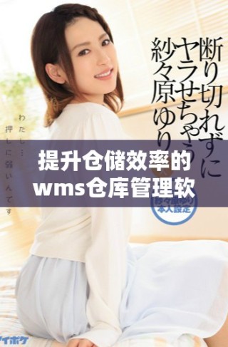 提升倉儲效率的wms倉庫管理軟件全面解析與應用技巧